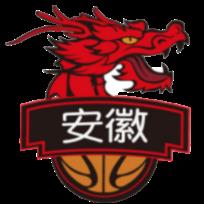 安徽文一