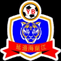延边龙鼎